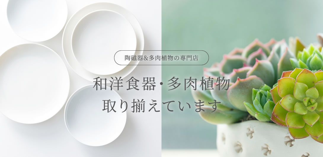 和洋食器・多肉植物取り揃えています